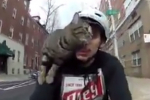 [Clip]Thanh niên đi xe đạp đèo theo chú mèo cưng