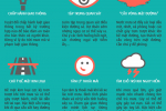 Infographic - Lái xe an toàn trong mùa mưa
