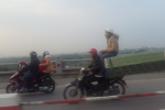 Chùm ảnh người Việt làm xiếc với xe máy trên đường phố