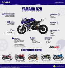 Giá của Yamaha R25 em nó đang nóng hổi ở thị trường xe - đàm đạo về giá