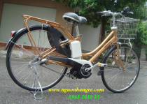 Xe đạp điện Nhật cũ hàng bãi