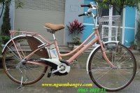 Xe đạp điện Nhật bãi nhập khẩu
