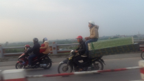 Chùm ảnh người Việt làm xiếc với xe máy trên đường phố