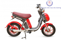 Bán xe đạp điện Nijia nhập khẩu chính hãng giá rẻ tại Hà Nội