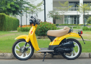 Honda SGX 50 Sky - scooter 'có một không hai' tại Việt Nam