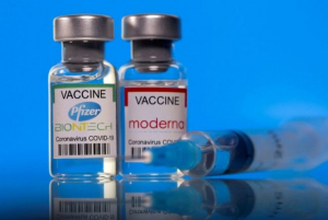 Có mua được 15 triệu liều vaccine Mỹ Pfizer Covid-19 từ Donacoop ?