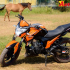 Giá mềm cho Visitor Helios - xe côn tay 250cc