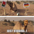 Ảnh chế hài hước về Ronaldo cùng BĐN thảm bại trước ĐT Đức