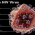 HIV không dùng thuốc 2 năm vẫn kìm giữ virus ngừng hoạt động