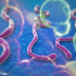Vi rút Ebola: Nhận diện, chẩn đoán và cách điều trị
