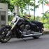 Harley-Davidson V-rod Muscle 2014 chiếc xe cruiser mạnh nhất thế giới
