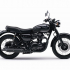 |Kim Minh| Kawasaki W800 Black Edition 2015_xếp đẹp hoài cổ