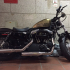 Bán xe Harley Davidson 48 - Chính chủ - Mới 99%