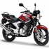 Tìm mua xe Yamaha YBR250 và Honda CG150 Titan từ thị trường Nam Mỹ