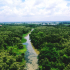 Điểm phượt "hòa mình vào thiên nhiên" cách Sài Gòn 100km