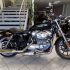 Cần bán Harley-Davidson XL 883 L SUPERLOW 15 2016